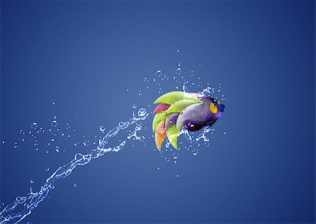 simsearch:400-06080242,k - Angelfish jumping, good concept for Recklessness and challenge concept. Foto de stock - Super Valor sin royalties y Suscripción, Código: 400-07289733
