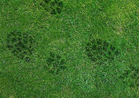 simsearch:400-06481952,k - Shoe print on green grassland. Stock Photo - Budget Royalty-Free & Subscription, Code: 400-07289760