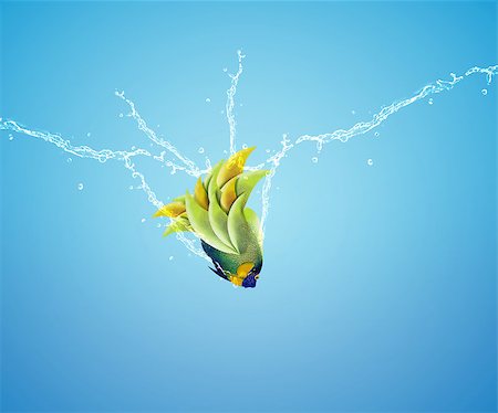 simsearch:400-06080242,k - Angelfish jumping, good concept for Recklessness and challenge concept. Foto de stock - Super Valor sin royalties y Suscripción, Código: 400-07289816