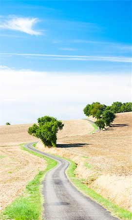 simsearch:400-07294681,k - field with a road, Gers Department, France Photographie de stock - Aubaine LD & Abonnement, Code: 400-07294681