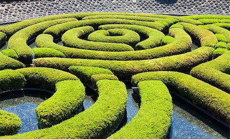 perseomedusa (artist) - Wonderful garden maze during a sunny day Fotografie stock - Microstock e Abbonamento, Codice: 400-07294953