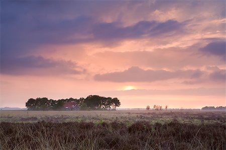 calm pink sunset over home among swamps, Drenthe, Netherlands Stock Photo - Budget Royalty-Free & Subscription, Code: 400-07295954