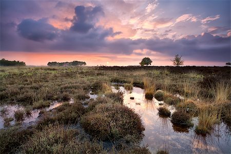 drenthe - warm calm sunset over swamps in Drenthe, Netherlands Foto de stock - Royalty-Free Super Valor e Assinatura, Número: 400-07295955
