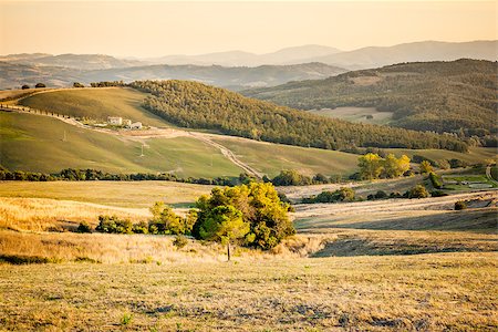 simsearch:400-07296321,k - An image of a Tuscany landscape in Italy Foto de stock - Super Valor sin royalties y Suscripción, Código: 400-07296324