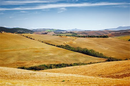 simsearch:400-07296321,k - A beautiful landscape near Pienza Tuscany Italy Foto de stock - Super Valor sin royalties y Suscripción, Código: 400-07296321