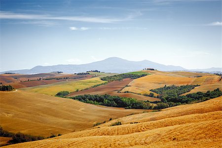 simsearch:400-07296321,k - A beautiful landscape near Pienza Tuscany Italy Foto de stock - Super Valor sin royalties y Suscripción, Código: 400-07296322