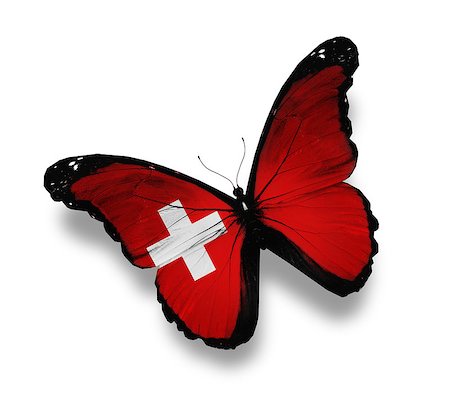 Swiss flag butterfly, isolated on white Stock Photo - Budget Royalty-Free & Subscription, Code: 400-07296348