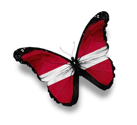 Latvian flag butterfly, isolated on white Stock Photo - Budget Royalty-Free & Subscription, Code: 400-07296349