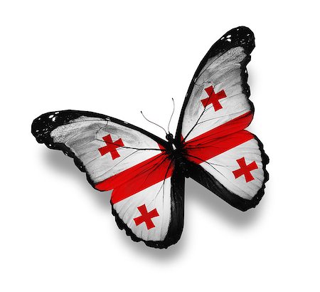 Georgian flag butterfly, isolated on white Stock Photo - Budget Royalty-Free & Subscription, Code: 400-07296355