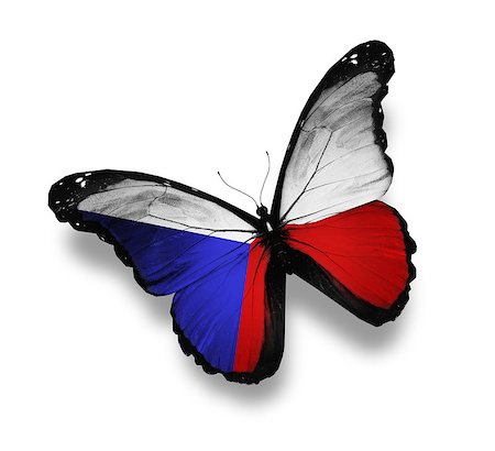 Czech flag butterfly, isolated on white Stock Photo - Budget Royalty-Free & Subscription, Code: 400-07296356