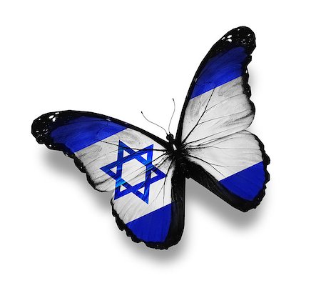 Israeli flag butterfly, isolated on white Stock Photo - Budget Royalty-Free & Subscription, Code: 400-07296350