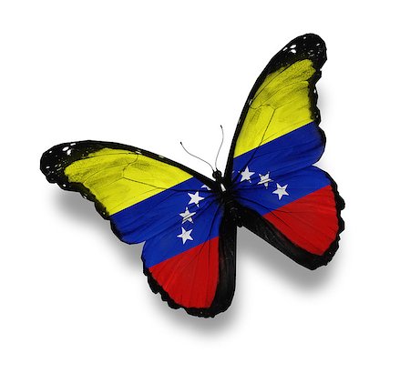 Venezuelan flag butterfly, isolated on white Stock Photo - Budget Royalty-Free & Subscription, Code: 400-07296351