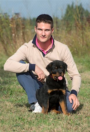 simsearch:400-07124923,k - man and puppy rottweiler in a garden Stockbilder - Microstock & Abonnement, Bildnummer: 400-07296495