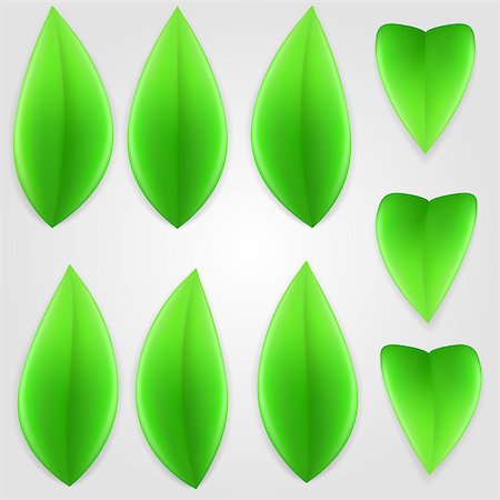 simsearch:622-02757796,k - Set of green leaves. Elements of nature. Stock Photo - Budget Royalty-Free & Subscription, Code: 400-07296644