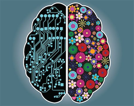 Left and right side of the brain, logic and creativity, vector Stock Photo - Budget Royalty-Free & Subscription, Code: 400-07297155