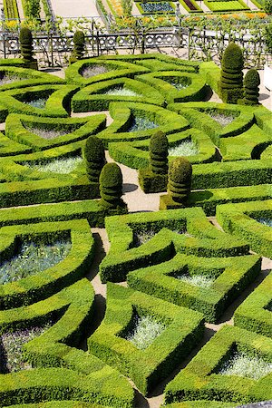 Villandry Castle's garden, Indre-et-Loire, Centre, France Stock Photo - Budget Royalty-Free & Subscription, Code: 400-07297373