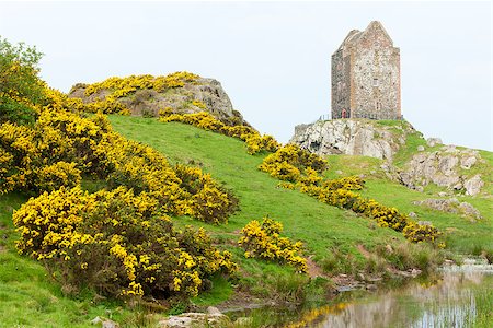 simsearch:400-05724377,k - Smailholm Tower near Kelso, Scottish Borders, Scotland Foto de stock - Royalty-Free Super Valor e Assinatura, Número: 400-07297383