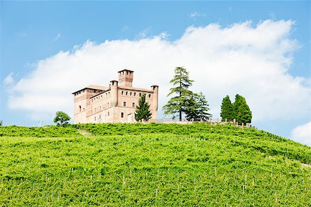 simsearch:400-07300370,k - Grinzane Cavour Castle with vineyard, Piedmont, Italy Foto de stock - Super Valor sin royalties y Suscripción, Código: 400-07297415