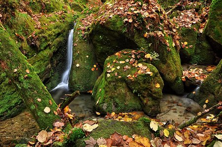 simsearch:879-09129093,k - Autumn creek with colorful leaves and many stones Stockbilder - Microstock & Abonnement, Bildnummer: 400-07297514