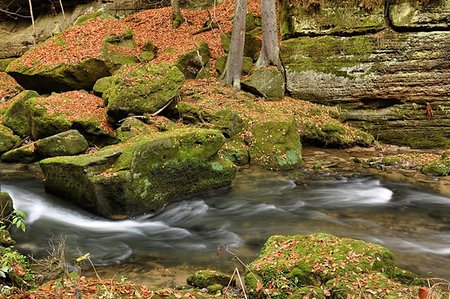 Autumn river with fast flowing water and rocks filled - leaves Fotografie stock - Microstock e Abbonamento, Codice: 400-07297518