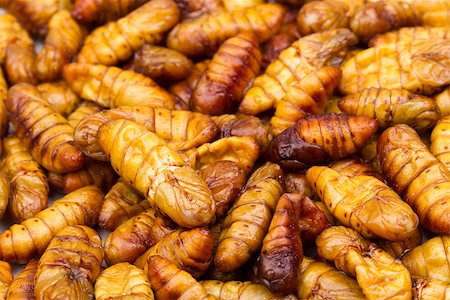 simsearch:400-04434050,k - baby silk worm cooked, expensive food in Thailand Stock Photo - Budget Royalty-Free & Subscription, Code: 400-07298212