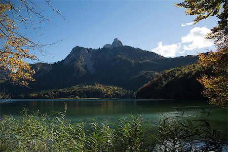 Tranquil Lake Alpsee in autumn in front of the Alpine foothills of Bavaria, Germany Foto de stock - Super Valor sin royalties y Suscripción, Código: 400-07298316