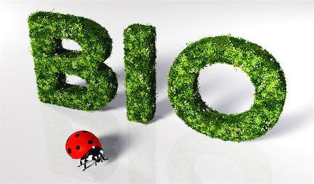 simsearch:400-06928460,k - bio text covered by grass and flowers, and a small ladybug in front of it on a white ground Stock Photo - Budget Royalty-Free & Subscription, Code: 400-07298368