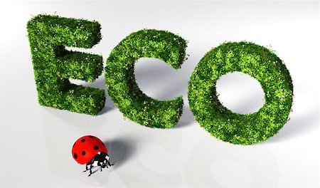 simsearch:400-06928460,k - eco text covered by grass and flowers, and a small ladybug in front of it on a white ground Stock Photo - Budget Royalty-Free & Subscription, Code: 400-07298369