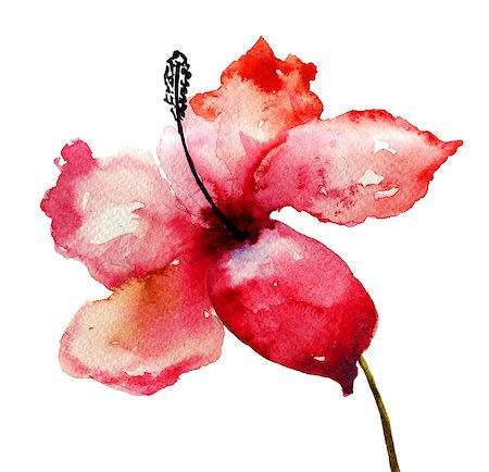 simsearch:400-06202782,k - Beautiful Lily flower, watercolor illustration Stock Photo - Budget Royalty-Free & Subscription, Code: 400-07298474