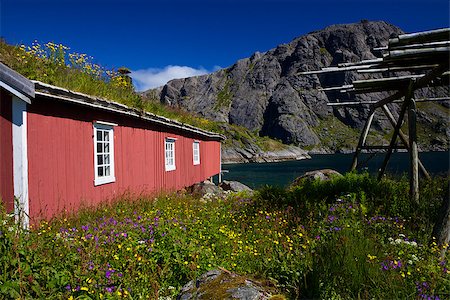 sod roof - Traditional red fishing rorbu hut with sod roof on Lofoten islands in Norway Stock Photo - Budget Royalty-Free & Subscription, Code: 400-07298955