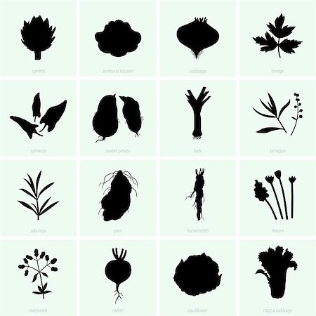 Set of vegetables Stock Photo - Budget Royalty-Free & Subscription, Code: 400-07299052