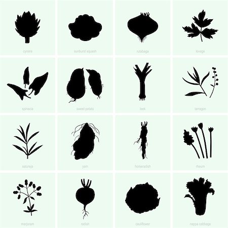 denis_barbulat (artist) - Set of vegetables Photographie de stock - Aubaine LD & Abonnement, Code: 400-07299052