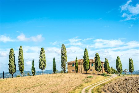 simsearch:400-07296321,k - Typical house in Tuscany, Italy,  with cypresses, field and blue sky Foto de stock - Super Valor sin royalties y Suscripción, Código: 400-07299621