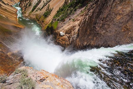 The Lower Falls on the Yellowstone River ( Yellowstone National Park, Wyoming) Fotografie stock - Microstock e Abbonamento, Codice: 400-07299691