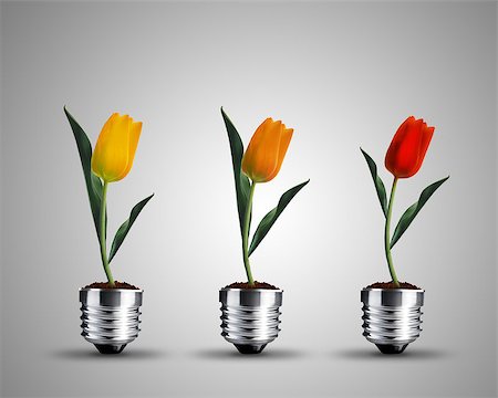 designsstock (artist) - light bulb made from tulips , light bulb conceptual Image. Fotografie stock - Microstock e Abbonamento, Codice: 400-07290017