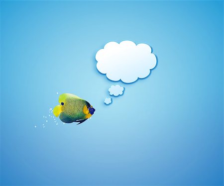 poisson-ange - angelfish faces as social network with speech bubbles. Photographie de stock - Aubaine LD & Abonnement, Code: 400-07290339