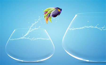 simsearch:400-06080242,k - Angelfish jumping to other bowl, Good Concept for new love, freedom, liberty, independence, unrestraint, new Opportunity and challenge concept. Foto de stock - Super Valor sin royalties y Suscripción, Código: 400-07290345