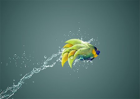 simsearch:400-06080242,k - Angelfish jumping, good concept for Recklessness and challenge concept. Foto de stock - Super Valor sin royalties y Suscripción, Código: 400-07290349