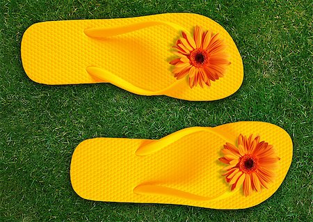 Colorful Flip Flops on green grass, summer back. Stock Photo - Budget Royalty-Free & Subscription, Code: 400-07290390