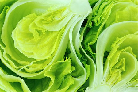 simsearch:400-05369257,k - Fresh Green Iceberg lettuce . Photographie de stock - Aubaine LD & Abonnement, Code: 400-07290454