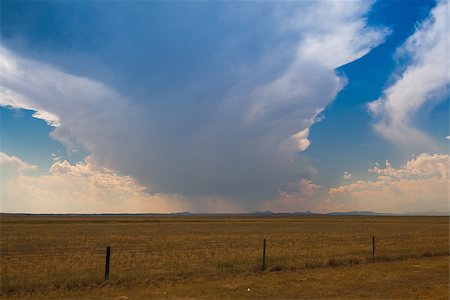 simsearch:400-06918860,k - Before a big storm on the prairie in Wyoming in USA Stock Photo - Budget Royalty-Free & Subscription, Code: 400-07290536