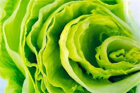simsearch:400-05369257,k - Fresh Green Iceberg lettuce . Photographie de stock - Aubaine LD & Abonnement, Code: 400-07290597