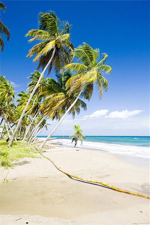 simsearch:400-06697564,k - Sauteurs Bay, Grenada Stockbilder - Microstock & Abonnement, Bildnummer: 400-07291095