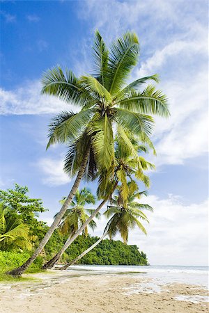 simsearch:400-06697564,k - La Sagesse Bay, Grenada Stockbilder - Microstock & Abonnement, Bildnummer: 400-07291096