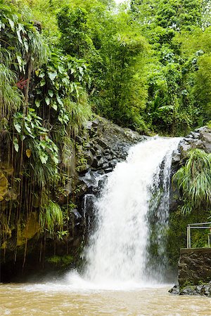 Annadale Falls, Grenada Stock Photo - Budget Royalty-Free & Subscription, Code: 400-07291097