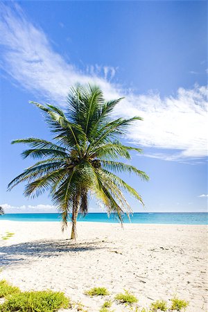 Foul Bay, Barbados, Caribbean Stock Photo - Budget Royalty-Free & Subscription, Code: 400-07291106