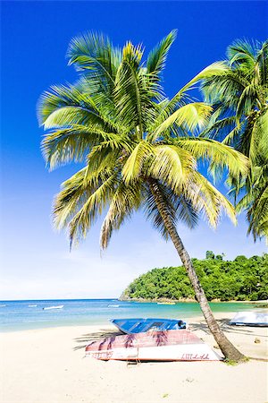 simsearch:400-06697564,k - Castara Bay, Tobago Stockbilder - Microstock & Abonnement, Bildnummer: 400-07291110