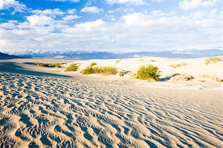 stovepipe wells - Stovepipe Wells sand dunes, Death Valley National Park, California, USA Foto de stock - Super Valor sin royalties y Suscripción, Código: 400-07291129