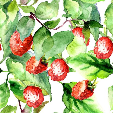 simsearch:400-07498585,k - Seamless pattern with Raspberry, watercolor illustration Photographie de stock - Aubaine LD & Abonnement, Code: 400-07291171