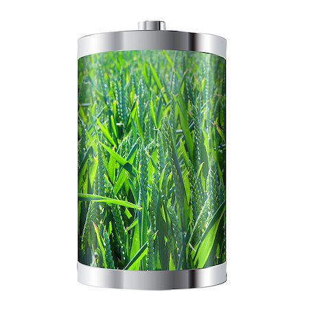 simsearch:400-07115437,k - Battery cell containing field of green wheat Photographie de stock - Aubaine LD & Abonnement, Code: 400-07291318